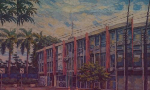 Exposição reúne artistas locais e abre a 9ª edição do Panorama das Artes Visuais no MAC em Cascavel