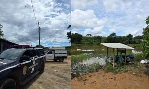 Fiscais flagram "gato" de energia em propriedades rurais no ES
