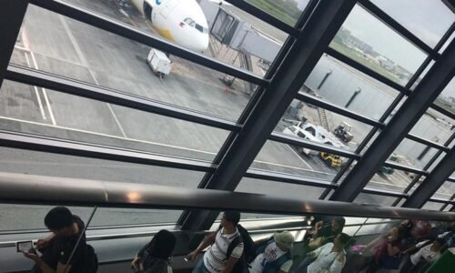 Full list of cancellations, key dates, and passenger options