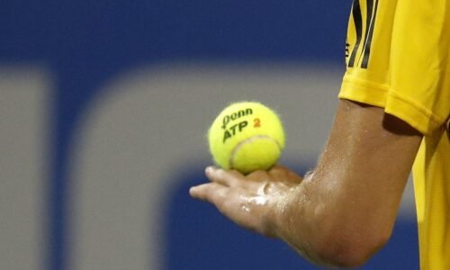 Gaubas vs. Sebastian Baez Prediction, Odds to Win Mutua Madrid Open