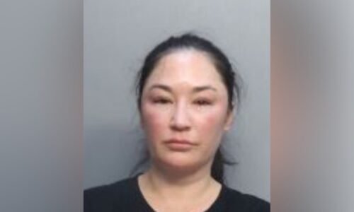 Georgia woman removed from Delta flight after refusing to end call
