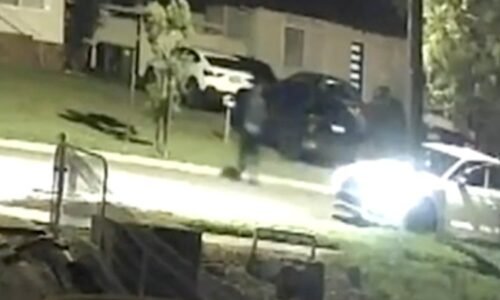 Houses shot, police stop ‘kill car’ on M4 after night of violence across city