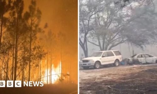 Hundreds of wildfires burn across Florida and Georgia