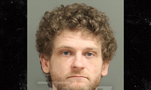 'Hunger Games' Star Arrested for Assault With Deadly Weapon, Intent to Kill