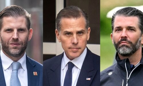 Hunter Biden challenges Trump's oldest sons to fight in a cage match