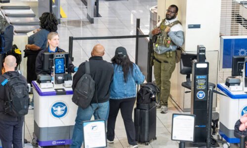 ICE arrested more than 800 after TSA tips