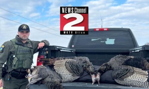 'Illegal Turkey Take' in North Country Leads to Tickets | Crime