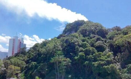 Incêndio no Morro do Boi, em Matinhos, é completamente extinto