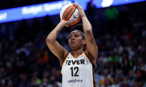 Indiana Fever have Damiris Dantas 'so happy' to join roster after visa, injury