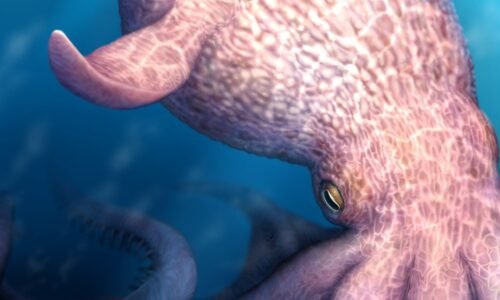 Jaw fossils suggest a 60-foot octopus was the ‘kraken’ of the Cretaceous