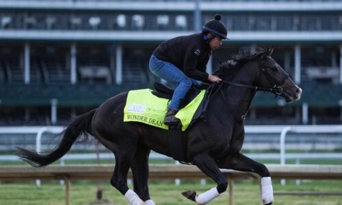 Kentucky Derby 2026 horses to root for in Churchill Downs race field