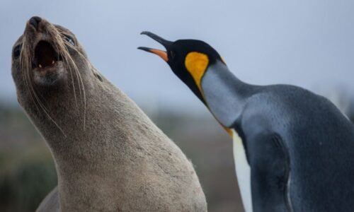 Linux cryptographic code flaw offers fast route to root • The Register