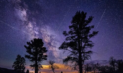 Lyrid meteor shower streaks across the sky with silhouetted trees in the foreground and the milky way stretching across the night sky in the background