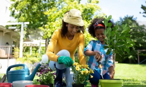 O que plantar em maio: hortaliças e flores ideais para cultivar no mês