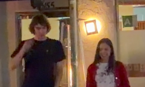 Olivia Rodrigo Spotted on Dinner Date With Geese Singer Cameron Winter