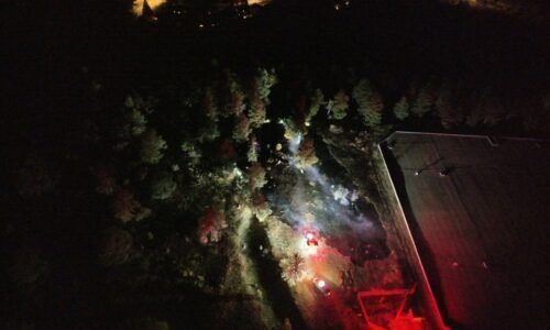 Overnight wildfire burns half acre near Boulder's Chautauqua Park