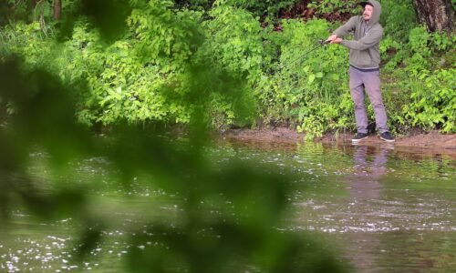An angler casts a line into the Souhegan River opposite Emerson Park in Milford, N.H., in 2024.