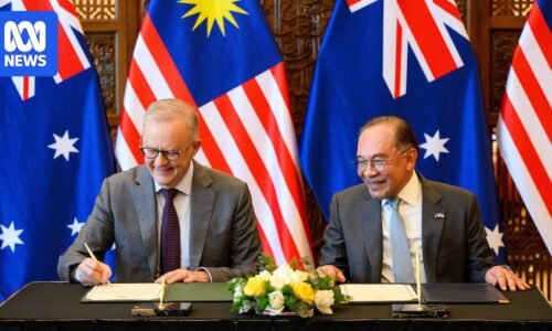 PM confirms purchase of 100m litres of diesel in bid to boost supply amid Iran war oil crisis