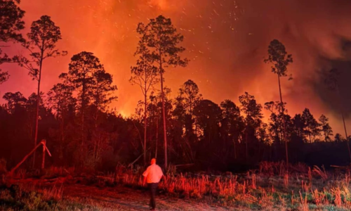 Pineland Road Fire grows to 32,000 acres, threatens hundreds of structures