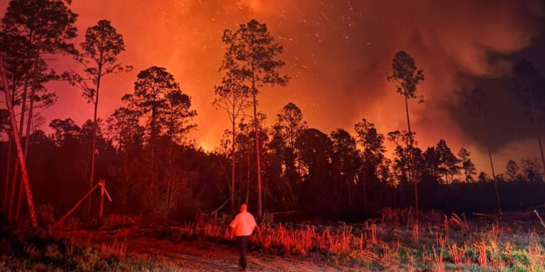 Pineland Road Fire grows to 32,000 acres, threatens hundreds of structures