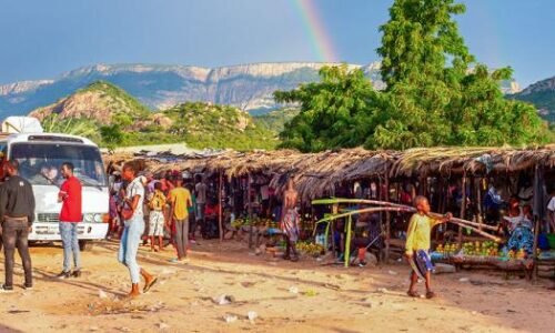 Pope Leo is not traveling to bring hope to Africa, but to find hope