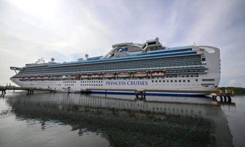 Princess cruise ship recovers 5 'deceased individuals' from sea