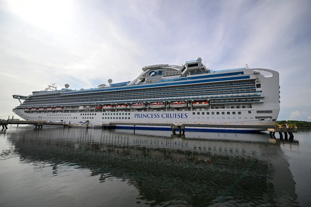 Princess cruise ship recovers 5 'deceased individuals' from sea