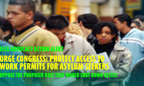 Protect Employment Authorization for Those Seeking Asylum — Grand Canyon Synod of the ELCA