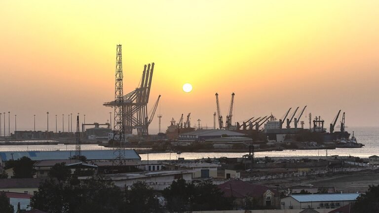Somaliland offers US forces Berbera base as Bab-el-Mandeb tensions rise