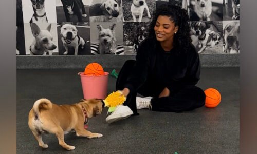 Taylor Rooks Shoots And Scores On Her Basketball-Themed Dodo Dream
