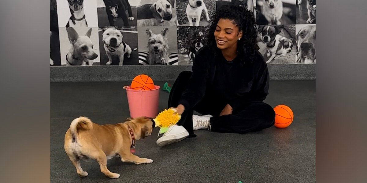 Taylor Rooks Shoots And Scores On Her Basketball-Themed Dodo Dream