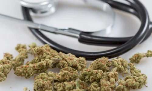 Tennessee Governor Signs Bill Blocking State Medical Marijuana Legalization Review Following Federal Rescheduling