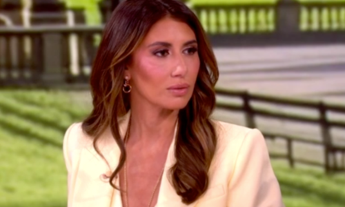The View cuts off ex-Trump counselor Alina Habba mid-grilling in awkward on-air moment