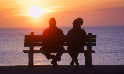 The Vineyard Gazette - Martha's Vineyard News