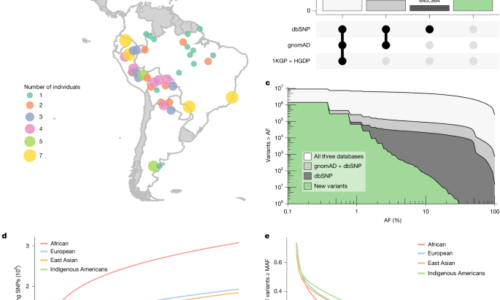 The evolutionary history and unique genetic diversity of Indigenous Americans