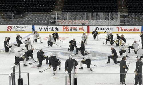 Tortorella Shuffling The Deck In Search Of Something VGK Should Have Found Long Ago