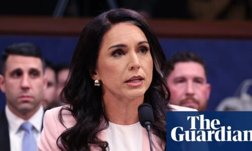 Trump polled advisers about replacing Tulsi Gabbard as intelligence chief | US politics