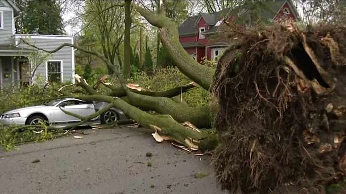 Two EF-1 tornadoes confirmed in Southeast Michigan from overnight storms