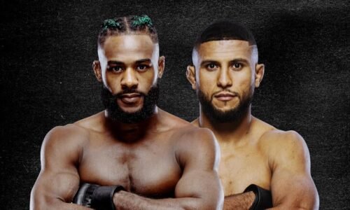 UFC Fight Night: Sterling vs Zalal Results