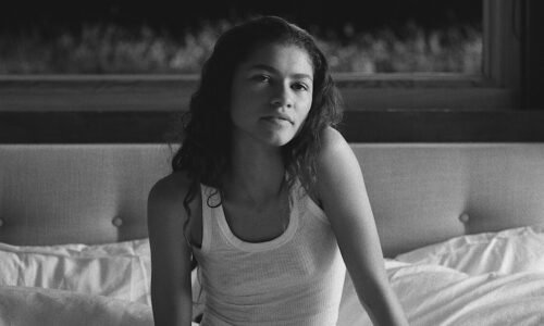 Watch the Euphoria Season 3 Cast in These 11 Series and Movies on Netflix