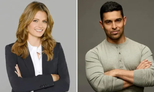 Wilmer Valderrama Clarifies Stana Katic Visit to NCIS Set