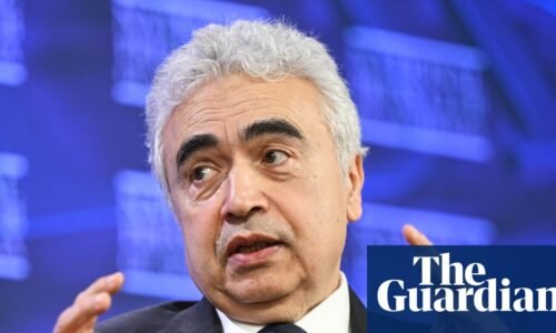 ‘The damage is done’: global oil crisis has changed fossil fuel industry for ever, IEA chief says | Oil