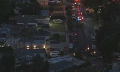 2 adults, 2 juveniles found dead with gunshot wounds in apparent murder-suicide in North Hills, LAPD says