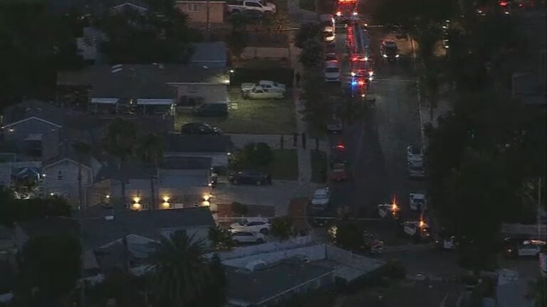 2 adults, 2 juveniles found dead with gunshot wounds in apparent murder-suicide in North Hills, LAPD says
