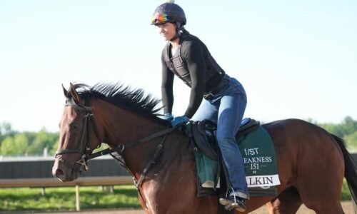 2026 Preakness Stakes predictions, horses, odds, posts: Surprising picks via elite horse racing handicapper