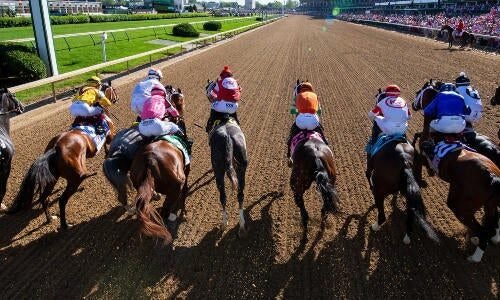 2026 Turf Classic Stakes: Win, place and trifecta picks from horse racing guru