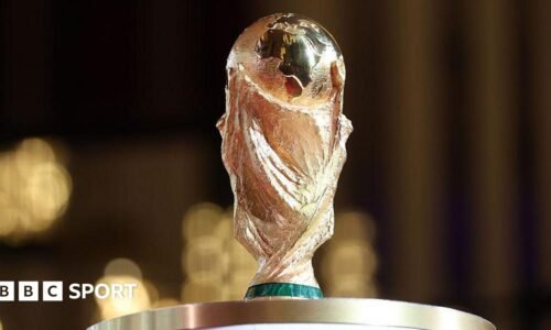 The World Cup trophy