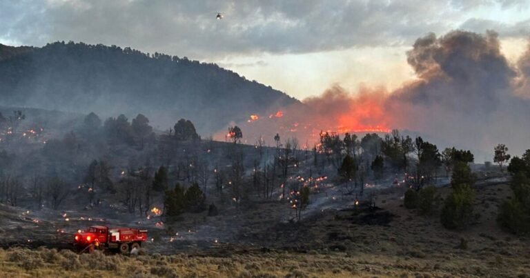 5 wildfires started in Utah over the last 24 hours; what you need to know