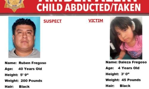 Amber Alert issued for 4-year-old child abducted from Los Angeles, police say