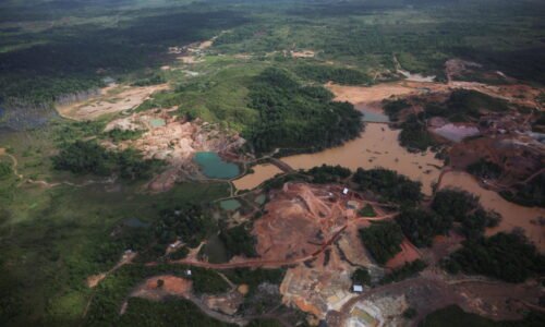 Deforested Amazon plot captured during Greenpeace flyover amid COP30 in Brazil